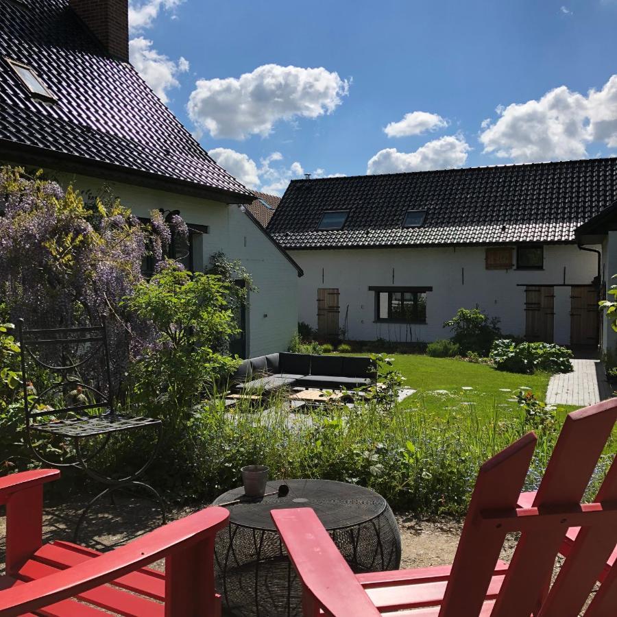 We Maison D'Hotes Cassel Eksteriør billede