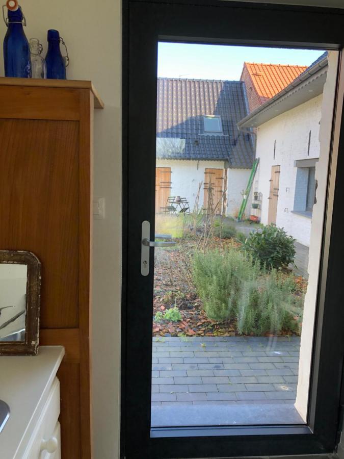 We Maison D'Hotes Cassel Eksteriør billede