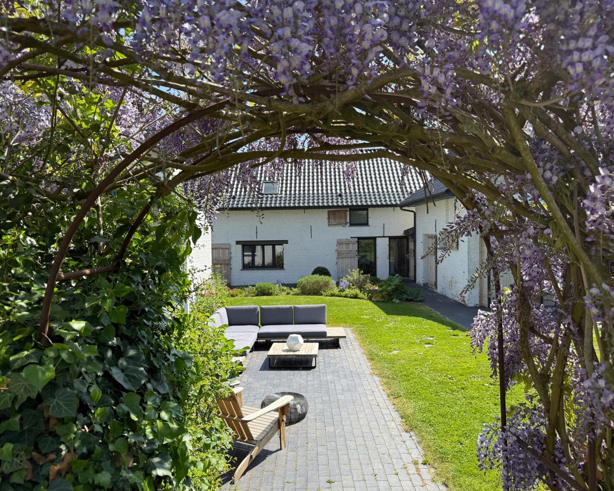 We Maison D'Hotes Cassel Eksteriør billede