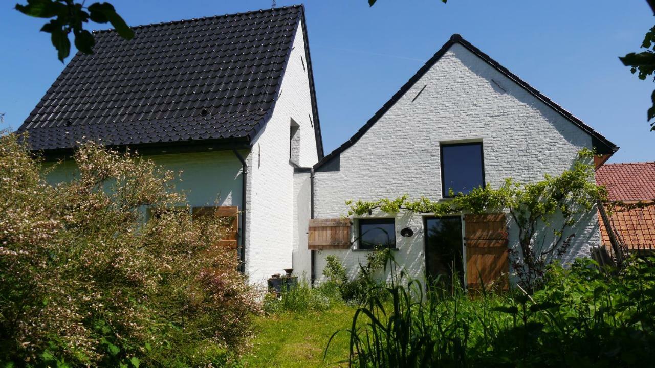 We Maison D'Hotes Cassel Eksteriør billede